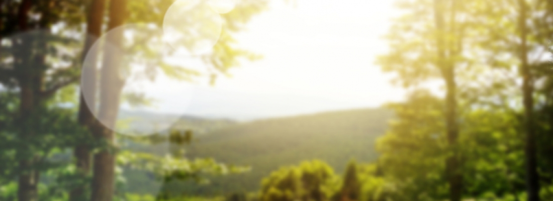 Les meilleures citations sur le printemps