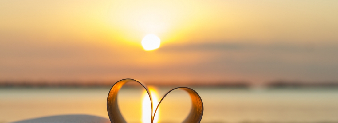 Les plus belles citations sur l'amour