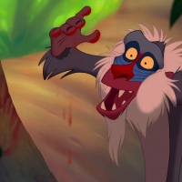 Rafiki 